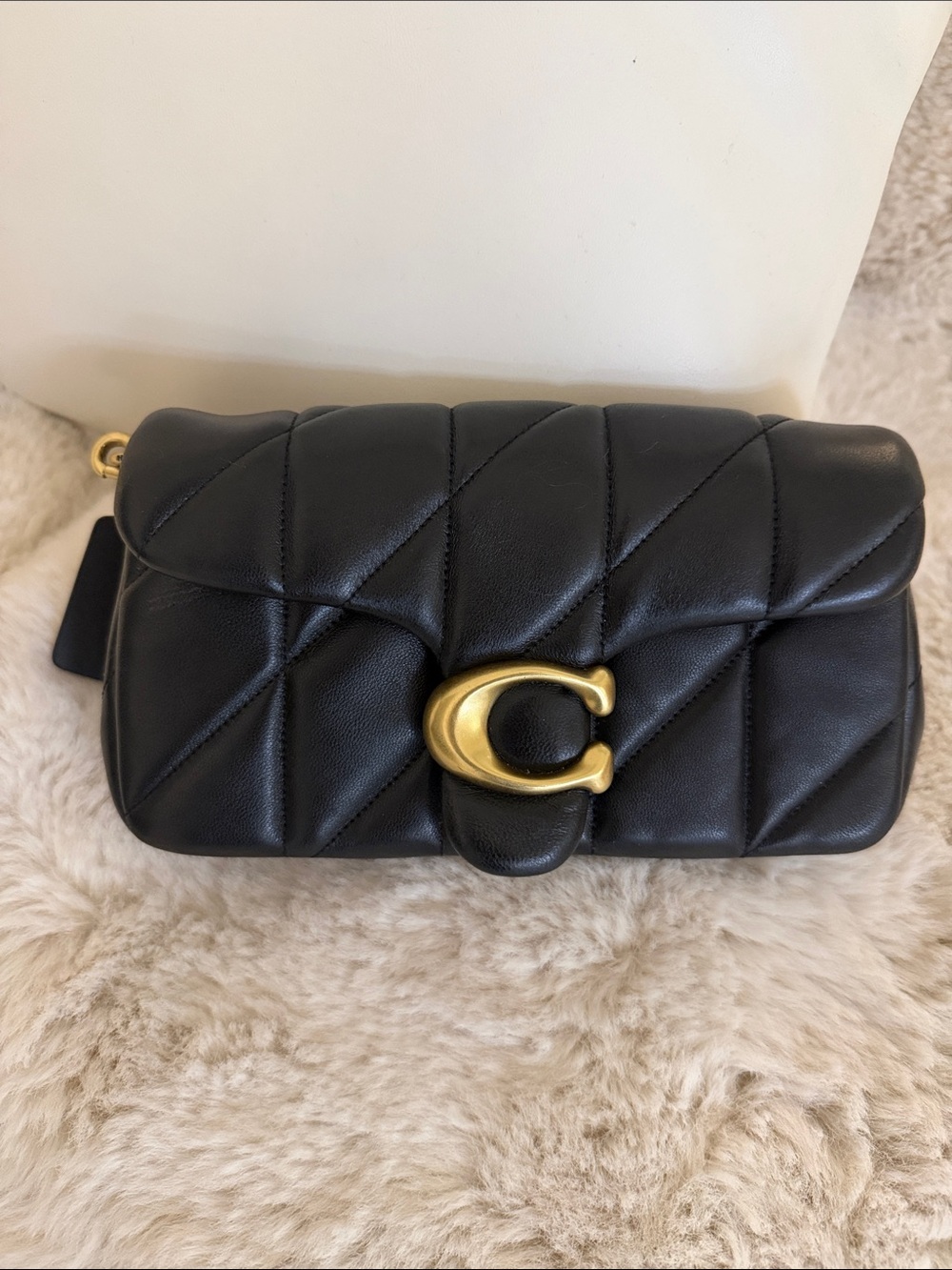 Coach tabby chain crossbody bag 19